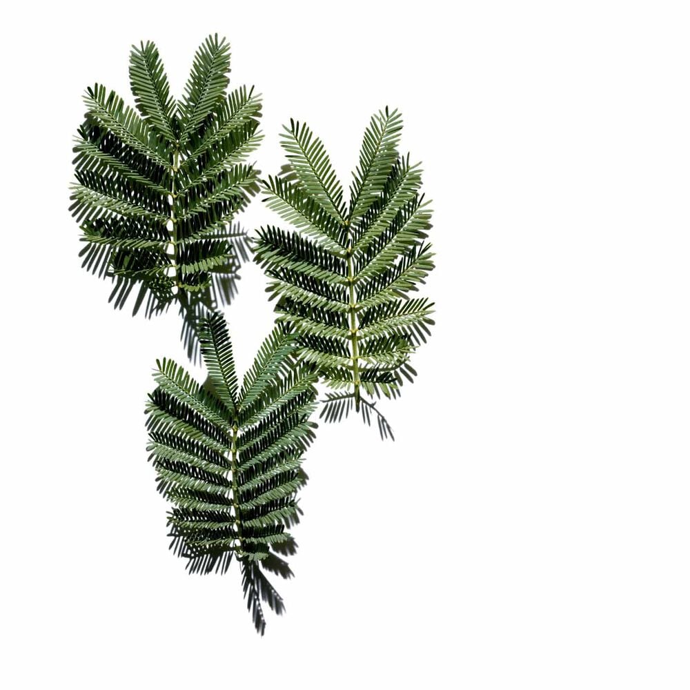 Base Lissante Visage - Base Maquillage