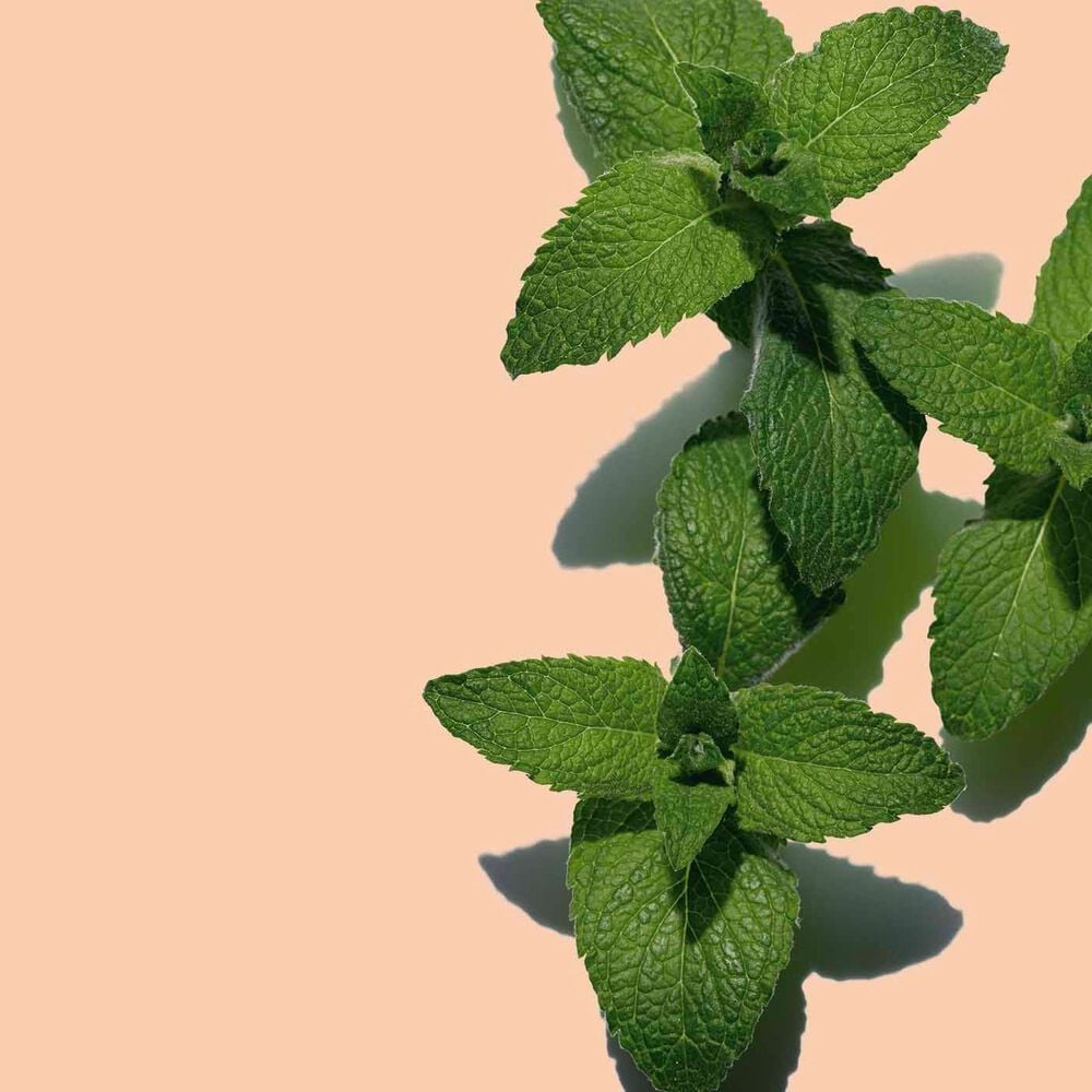 Baume-Huile Hydratant "Tonic"